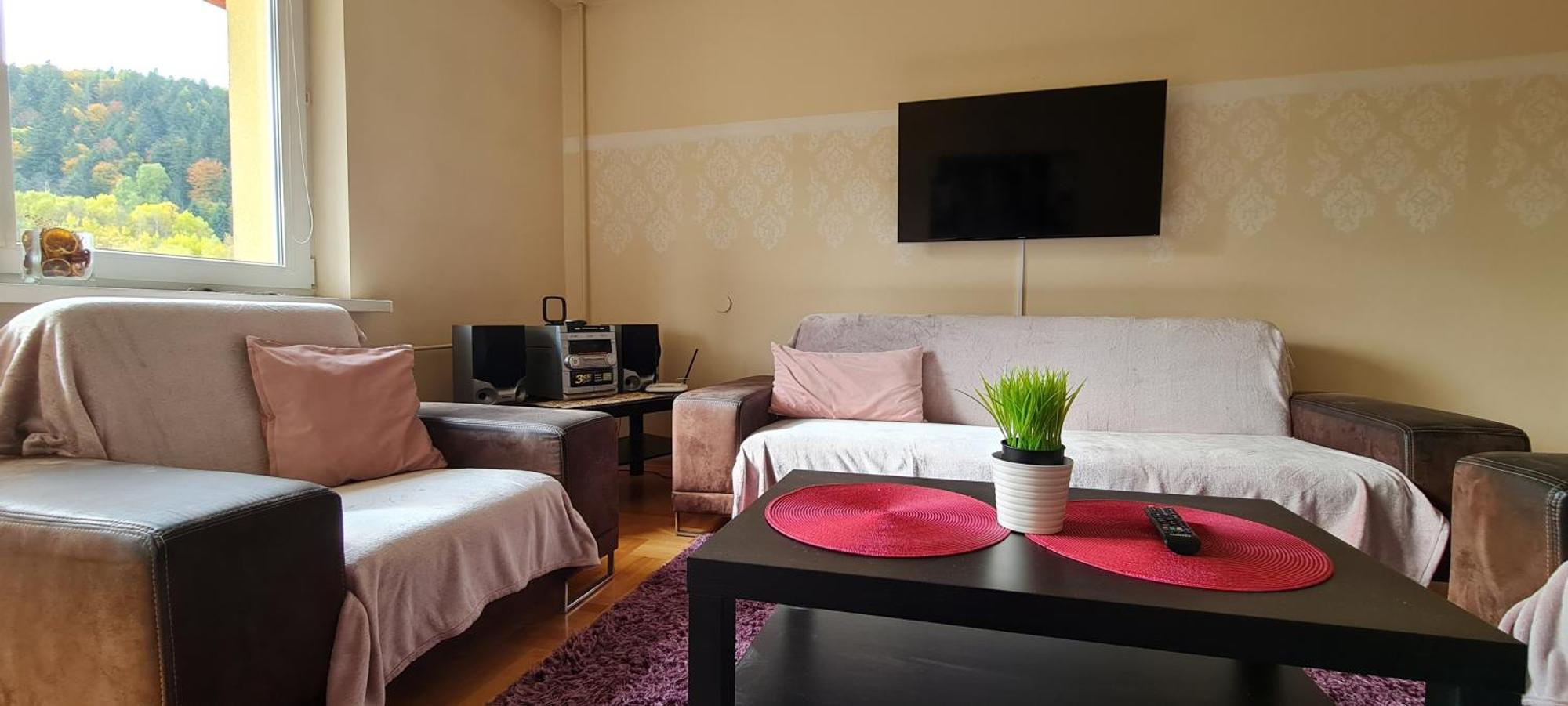 Apartament Czarny Potok كرينيتسا زدروي المظهر الخارجي الصورة